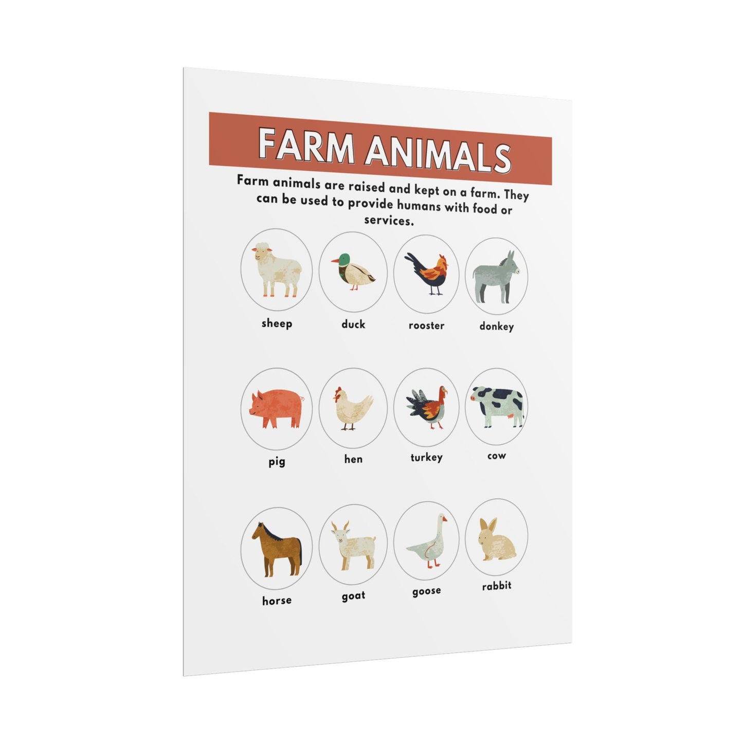 Farm Animals educational poster Rolled Poster | nursery classroom animal chart