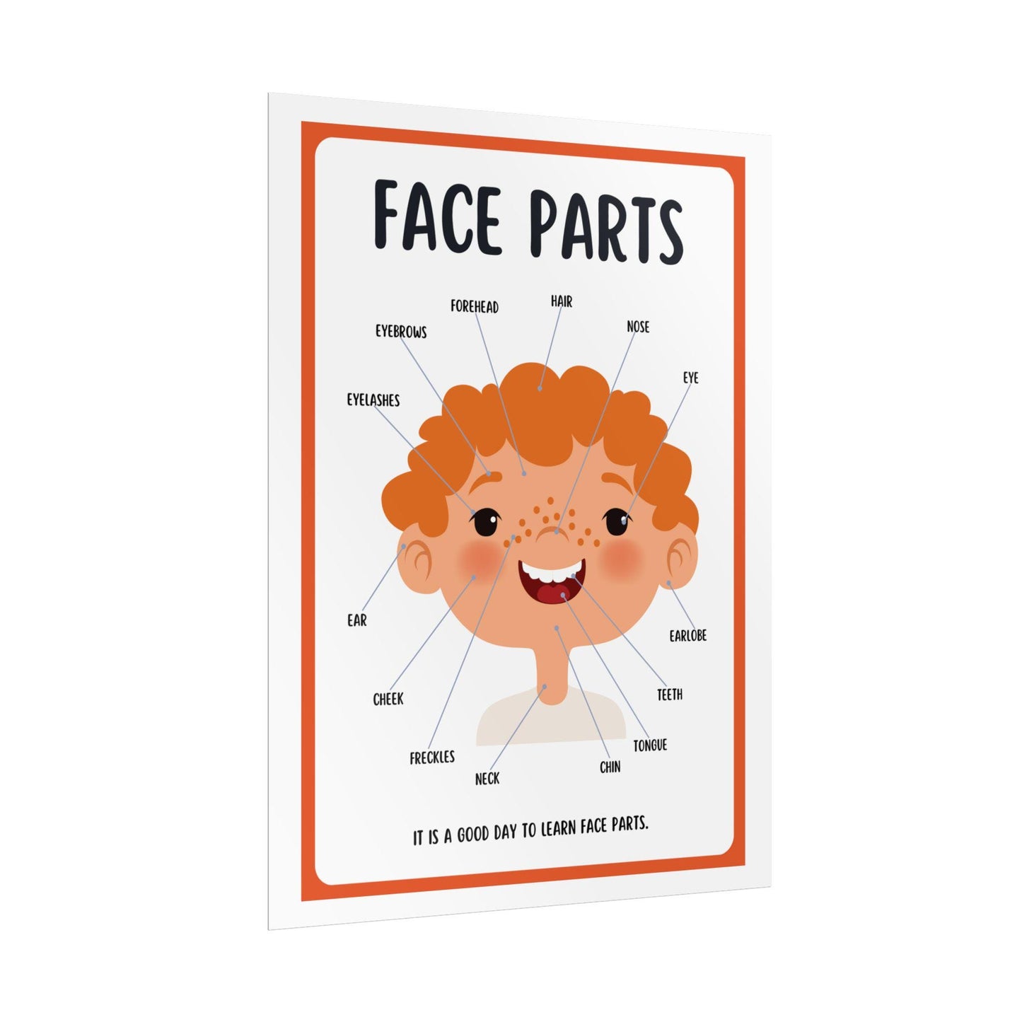 Face Parts educational poster Rolled Posters | kids classroom anatomy wall art