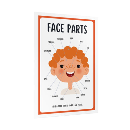 Face Parts educational poster Rolled Posters | kids classroom anatomy wall art