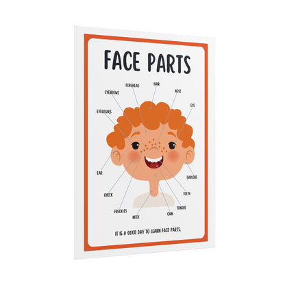 Face Parts educational poster Rolled Posters | kids classroom anatomy wall art