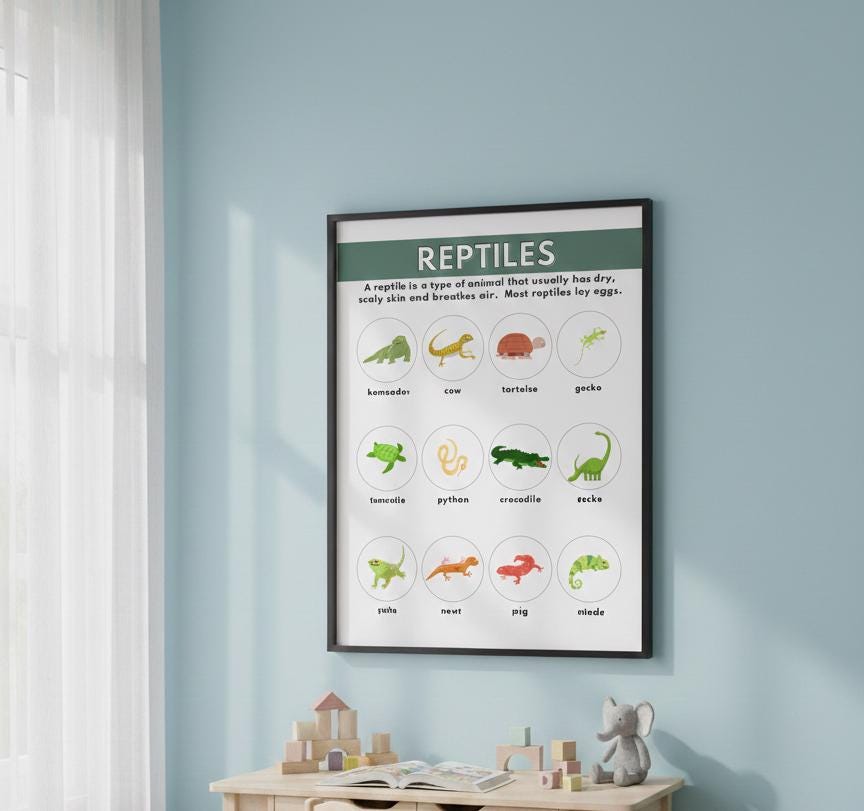 Reptiles Illustrated Chart Rolled Poster | Educational Animal Wall Art
