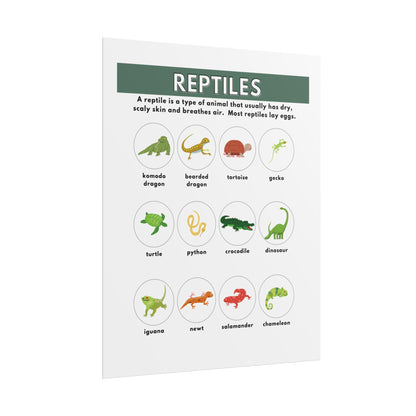 Reptiles Illustrated Chart Rolled Poster | Educational Animal Wall Art