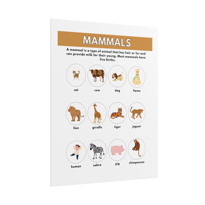 Mammals Educational Chart Rolled Poster | Animal Names Nursery Classroom