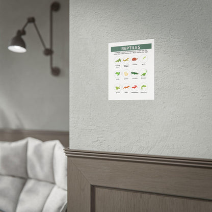 Reptiles Illustrated Chart Rolled Poster | Educational Animal Wall Art