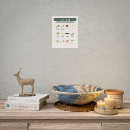 Reptiles Illustrated Chart Rolled Poster | Educational Animal Wall Art
