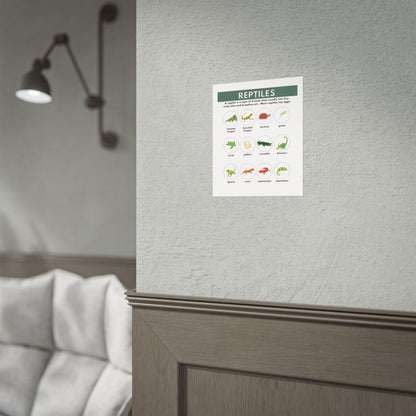Reptiles Illustrated Chart Rolled Poster | Educational Animal Wall Art
