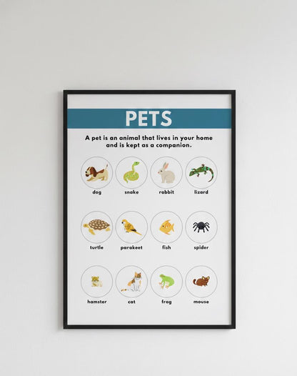 Pets educational poster Rolled poster | Animal flashcard wall art, kids classroom decor