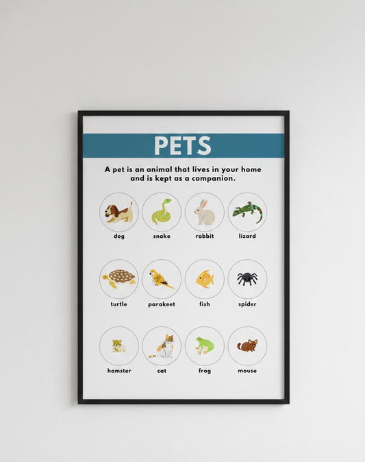 Pets educational poster Rolled poster | Animal flashcard wall art, kids classroom decor