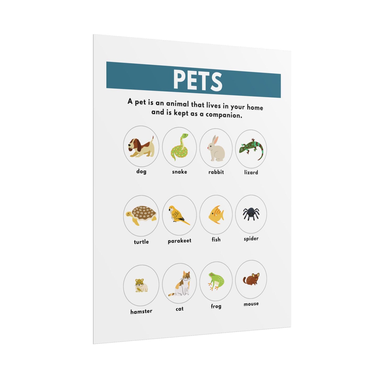 Pets educational poster Rolled poster | Animal flashcard wall art, kids classroom decor