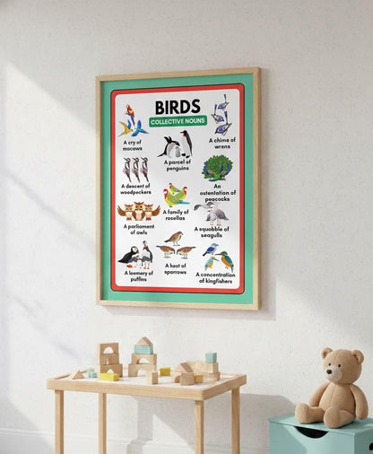 Birds Collective Nouns Rolled Poster | Educational Wall Art
