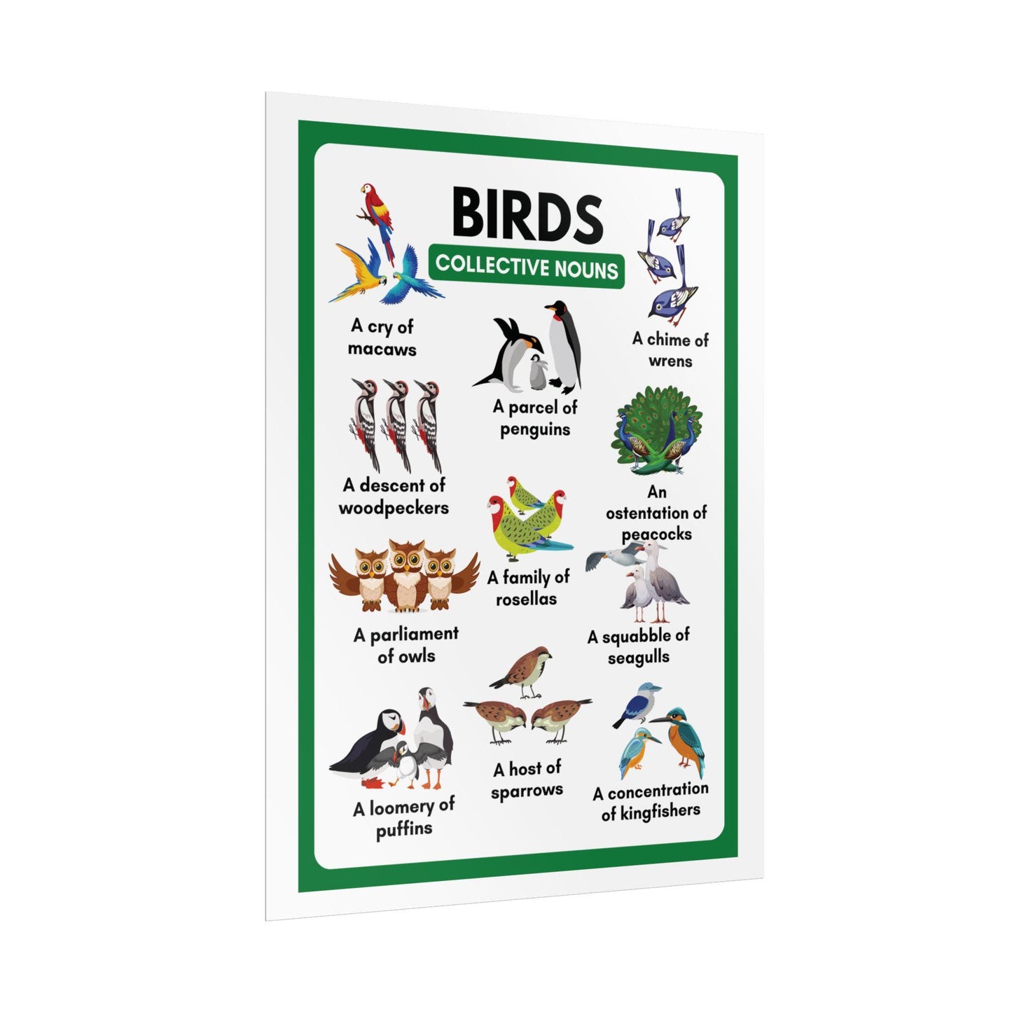 Birds Collective Nouns Rolled Poster | Educational Wall Art