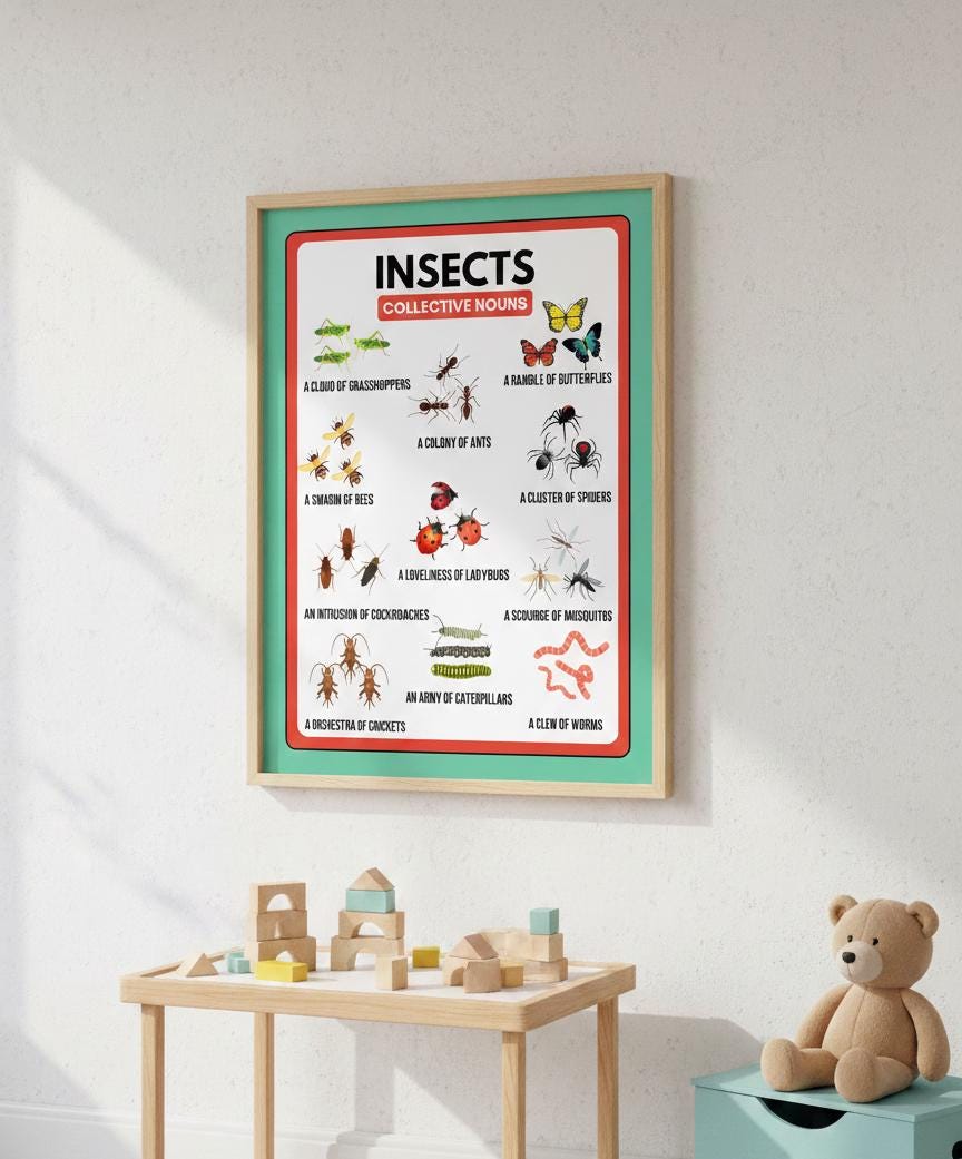Insects Collective Nouns Rolled Posters | Educational Classroom Poster