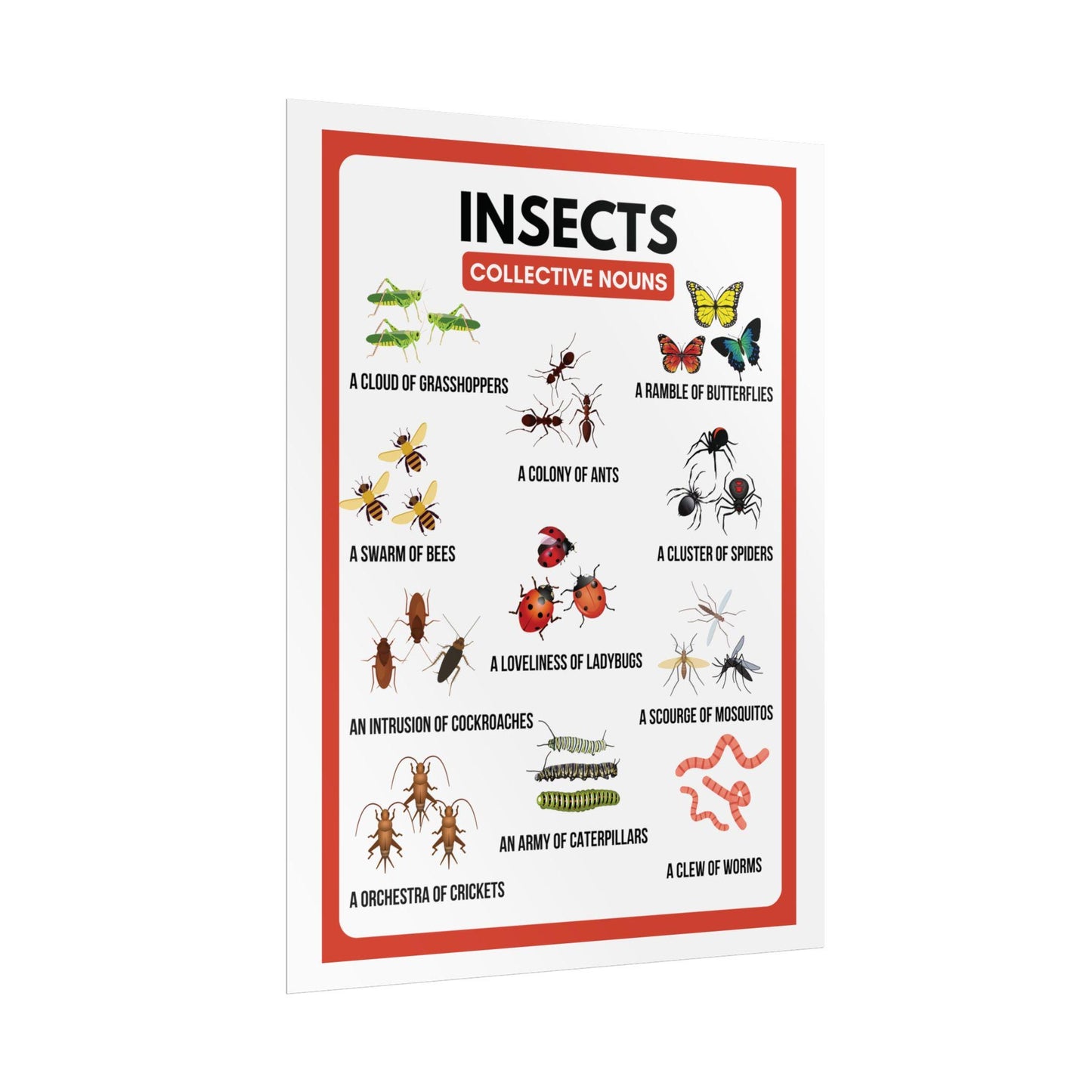 Insects Collective Nouns Rolled Posters | Educational Classroom Poster