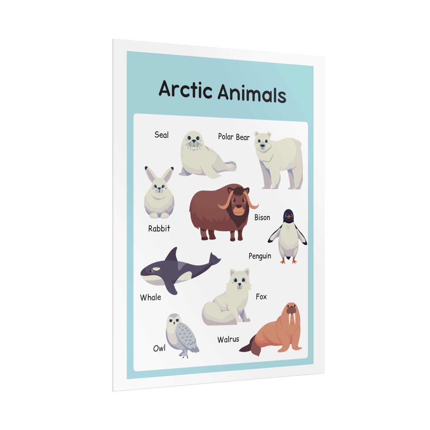 Arctic Animals educational poster Rolled Posters | nursery wall art, kids room print