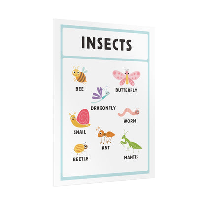Insects educational chart Rolled Posters | Kids room nursery wall art