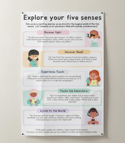 Explore Your Five Senses Rolled Poster | Educational Classroom Decor