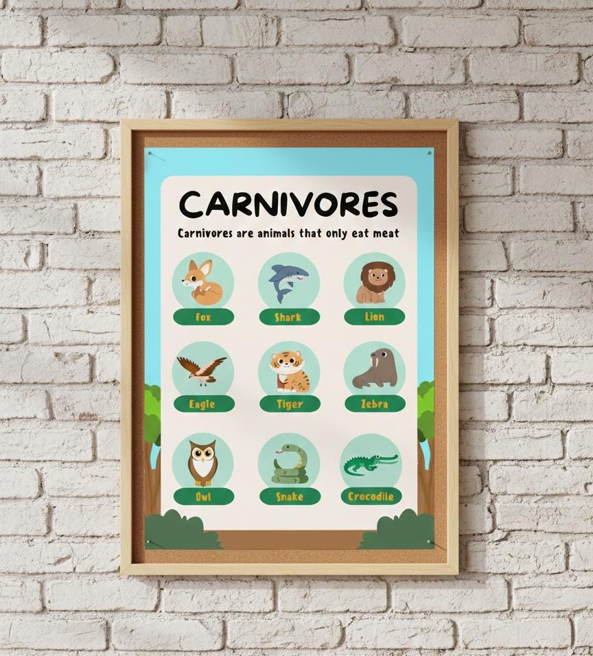 Carnivores Animal Chart Rolled Poster | Educational Nursery Wall Art