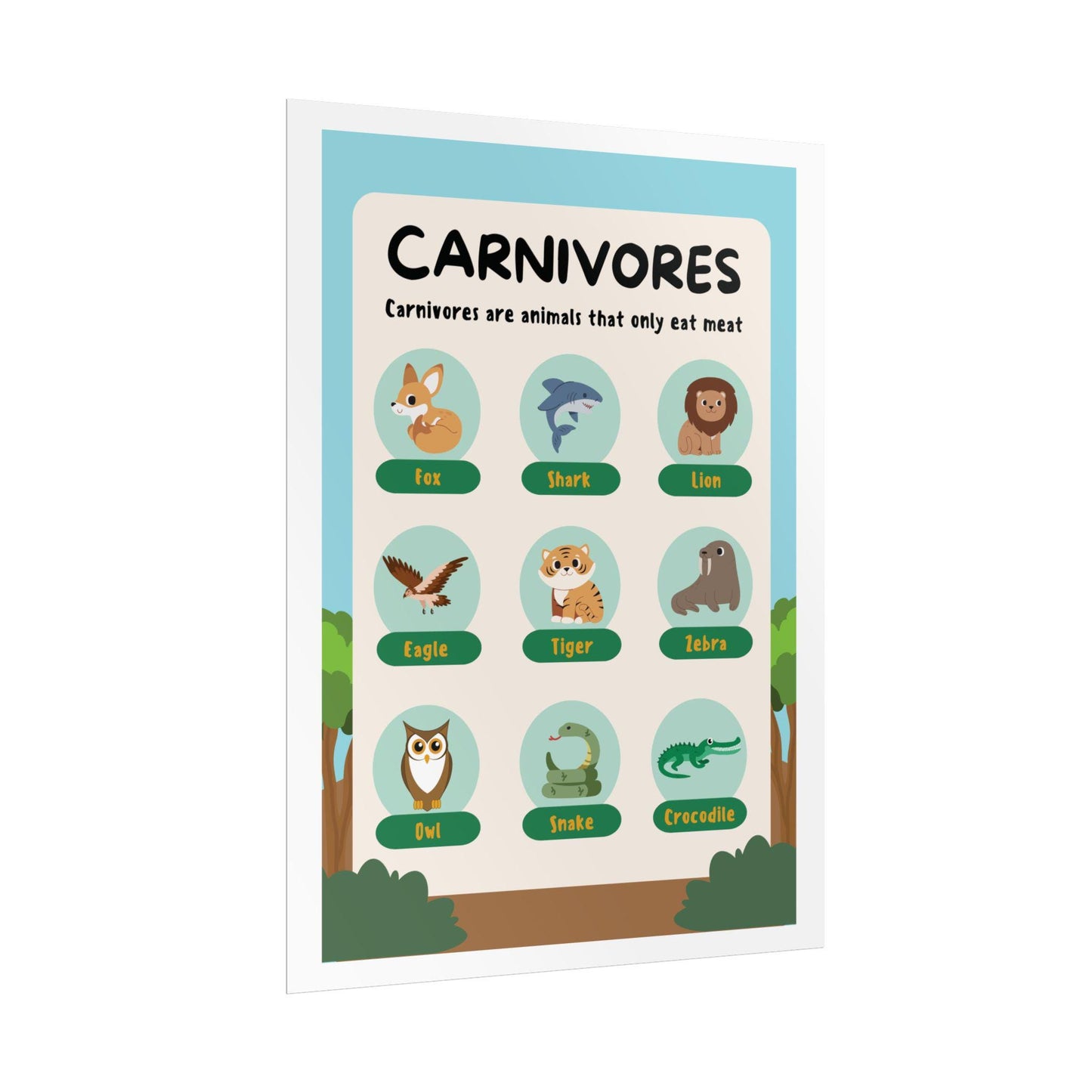 Carnivores Animal Chart Rolled Poster | Educational Nursery Wall Art
