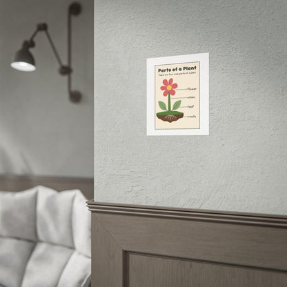 Parts of a Plant Rolled Poster | Educational Botanical Diagram