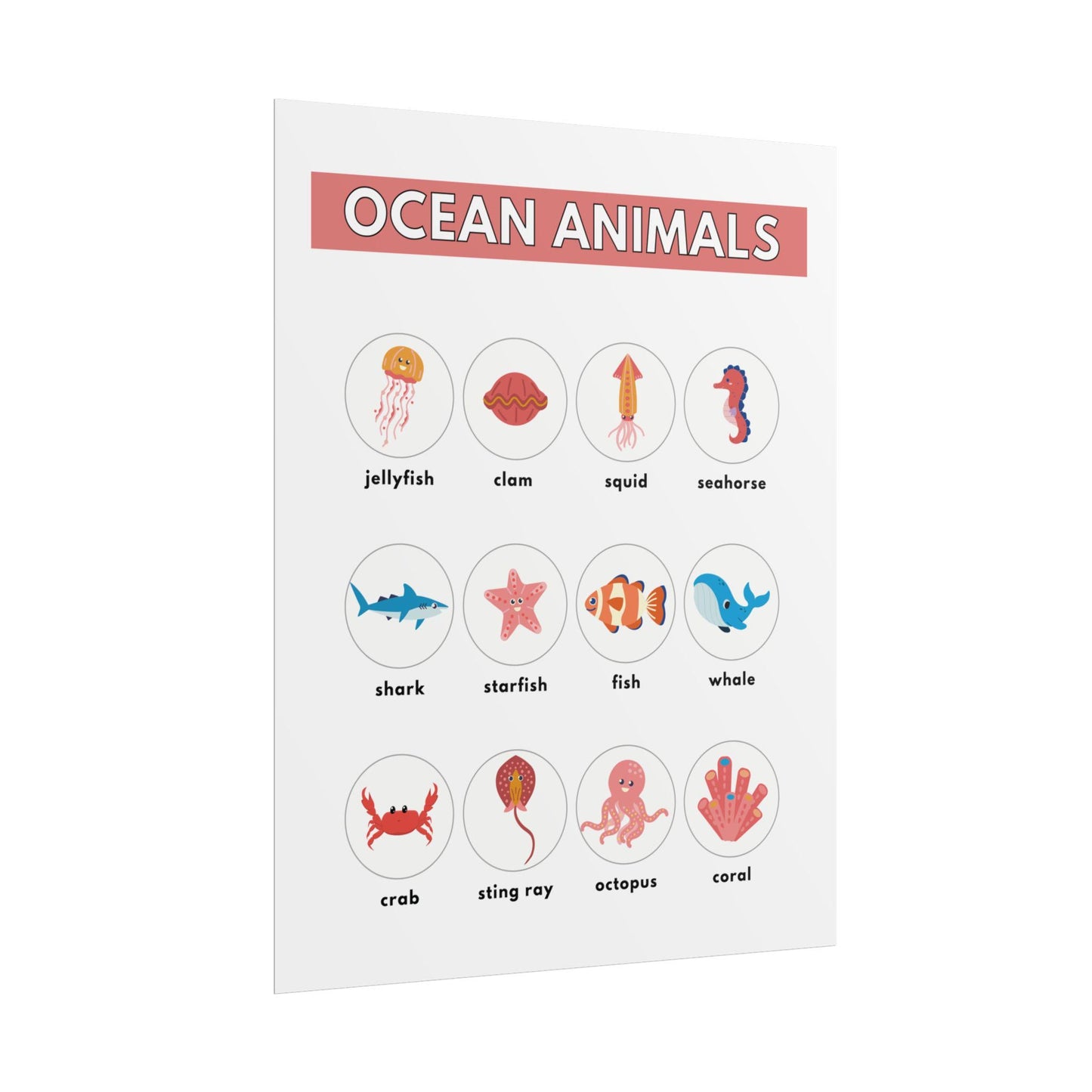 Ocean Animals Rolled Poster | Nursery Educational Wall Art, Marine Creature Chart