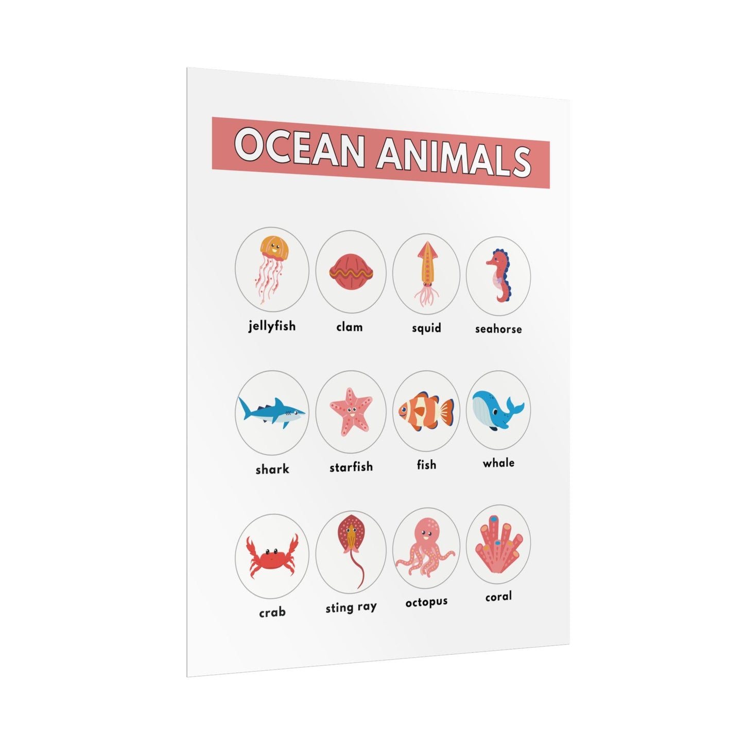 Ocean Animals Rolled Poster | Nursery Educational Wall Art, Marine Creature Chart