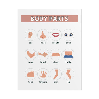 Body Parts Chart Rolled Posters | Educational Kids Wall Art | Rolled Poster That Teaches Basic Body-Part Through Friendly Illustrations