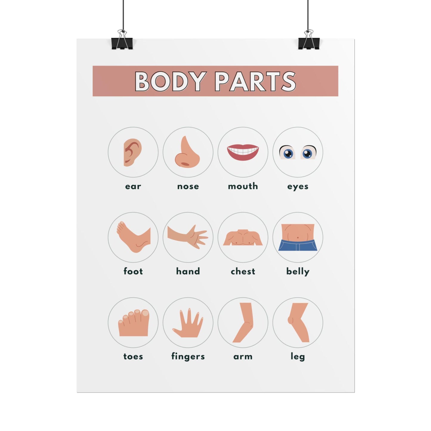 Body Parts Chart Rolled Posters | Educational Kids Wall Art | Rolled Poster That Teaches Basic Body-Part Through Friendly Illustrations