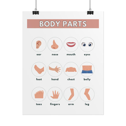 Body Parts Chart Rolled Posters | Educational Kids Wall Art | Rolled Poster That Teaches Basic Body-Part Through Friendly Illustrations
