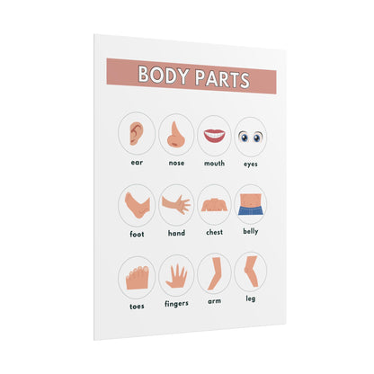 Body Parts Chart Rolled Posters | Educational Kids Wall Art | Rolled Poster That Teaches Basic Body-Part Through Friendly Illustrations