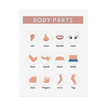 Body Parts Chart Rolled Posters | Educational Kids Wall Art | Rolled Poster That Teaches Basic Body-Part Through Friendly Illustrations