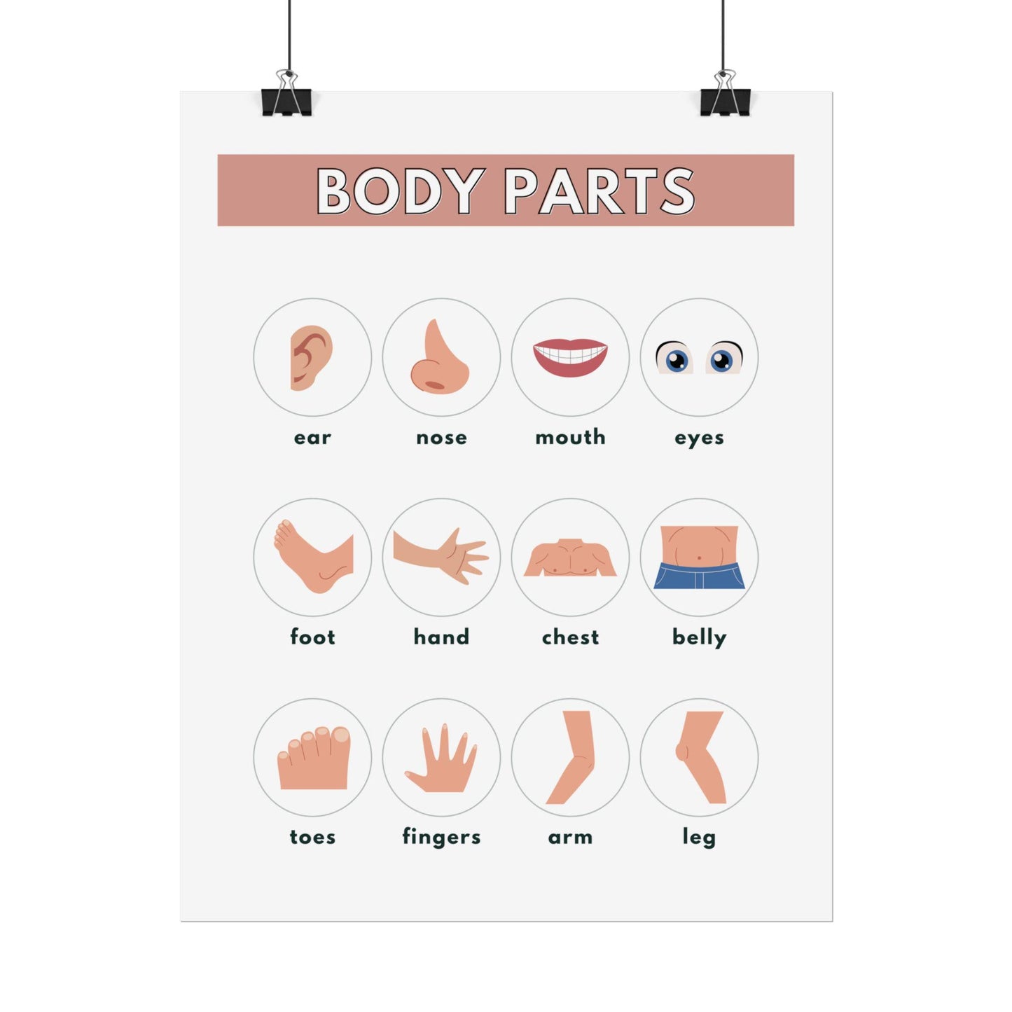 Body Parts Chart Rolled Posters | Educational Kids Wall Art | Rolled Poster That Teaches Basic Body-Part Through Friendly Illustrations