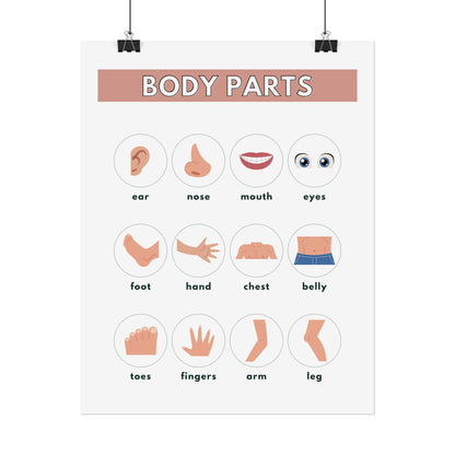 Body Parts Chart Rolled Posters | Educational Kids Wall Art | Rolled Poster That Teaches Basic Body-Part Through Friendly Illustrations