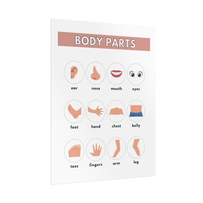 Body Parts Chart Rolled Posters | Educational Kids Wall Art | Rolled Poster That Teaches Basic Body-Part Through Friendly Illustrations