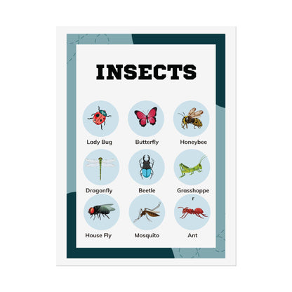 Insects educational chart Rolled Poster | insect illustrations, classroom wall art | Rolled Poster Featuring A Charming Insect Chart