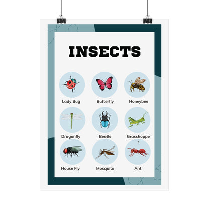 Insects educational chart Rolled Poster | insect illustrations, classroom wall art | Rolled Poster Featuring A Charming Insect Chart