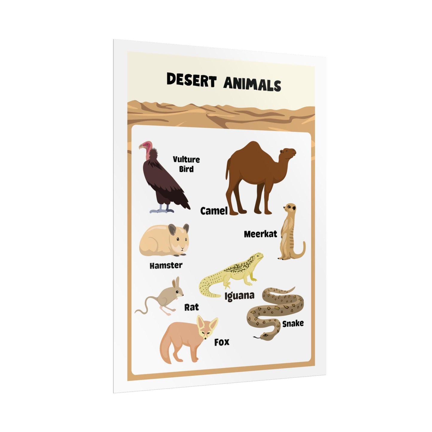 Desert Animals educational Rolled Posters | Kids nursery wall art | Rolled Posters Featuring A Warm, Educational Desert-Animals Illustration