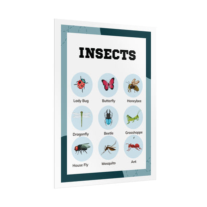 Insects educational chart Rolled Poster | insect illustrations, classroom wall art | Rolled Poster Featuring A Charming Insect Chart