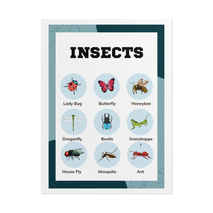 Insects educational chart Rolled Poster | insect illustrations, classroom wall art | Rolled Poster Featuring A Charming Insect Chart