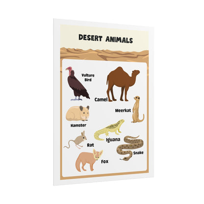 Desert Animals educational Rolled Posters | Kids nursery wall art | Rolled Posters Featuring A Warm, Educational Desert-Animals Illustration