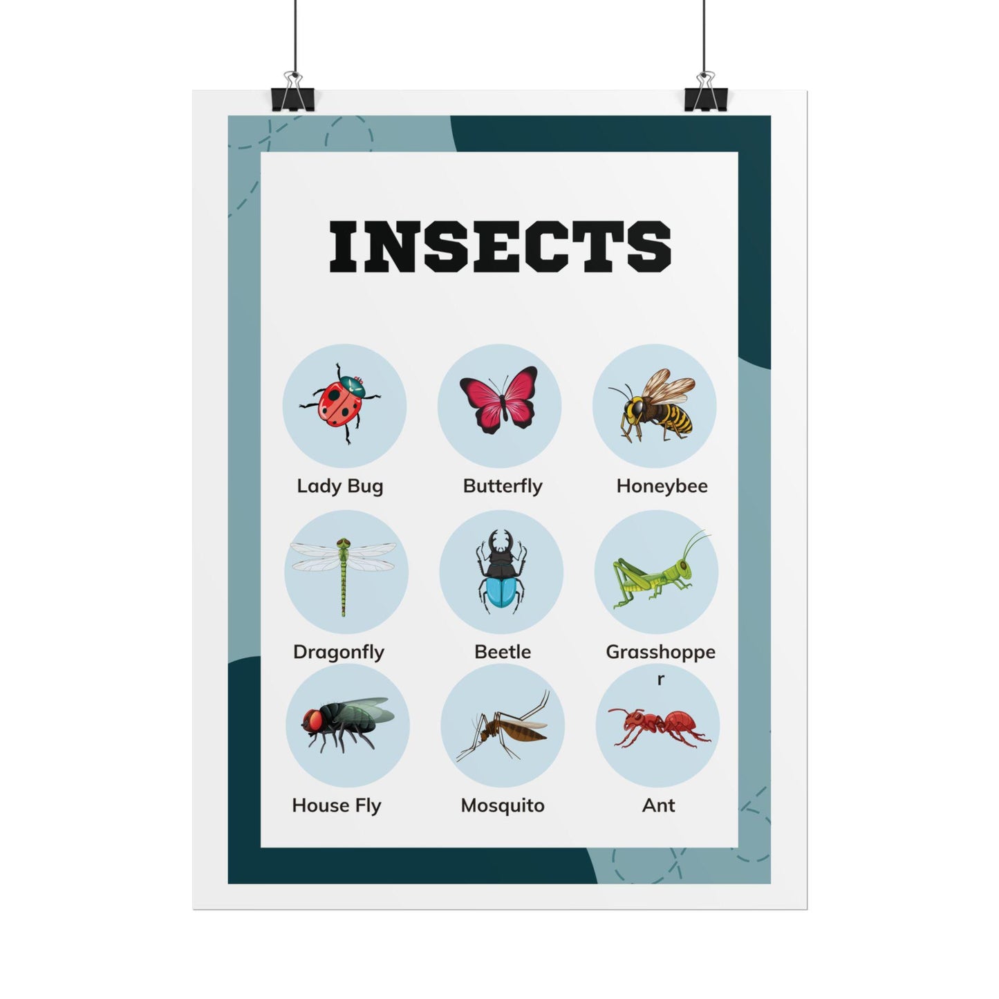 Insects educational chart Rolled Poster | insect illustrations, classroom wall art | Rolled Poster Featuring A Charming Insect Chart
