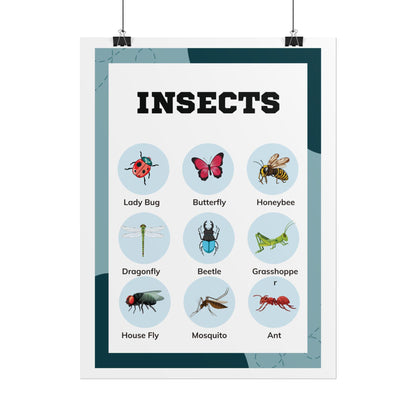 Insects educational chart Rolled Poster | insect illustrations, classroom wall art | Rolled Poster Featuring A Charming Insect Chart
