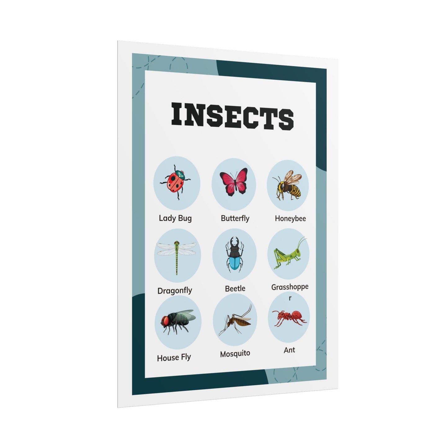 Insects educational chart Rolled Poster | insect illustrations, classroom wall art | Rolled Poster Featuring A Charming Insect Chart
