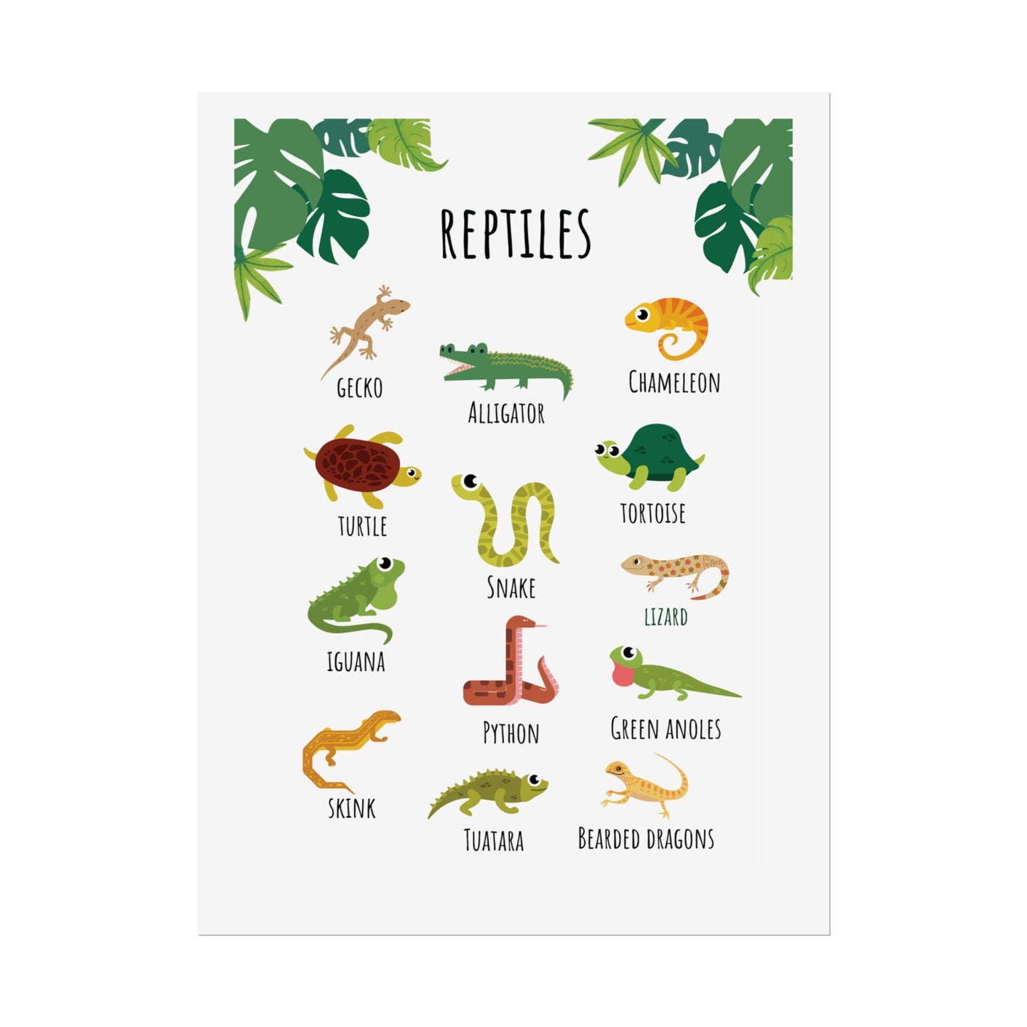 Reptiles Illustration Rolled Poster | Lizard Gecko Snake Turtle Tortoise Chart | Rolled Art That Celebrate Reptiles In Clean, Modern Layout
