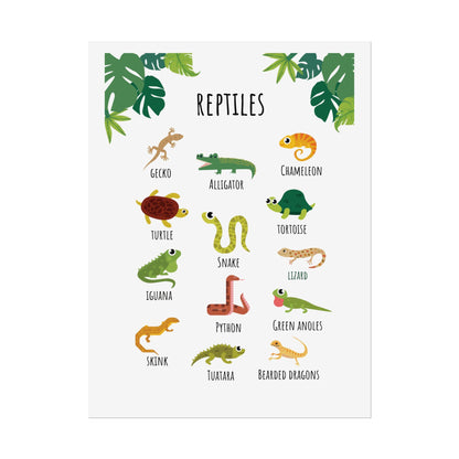 Reptiles Illustration Rolled Poster | Lizard Gecko Snake Turtle Tortoise Chart | Rolled Art That Celebrate Reptiles In Clean, Modern Layout