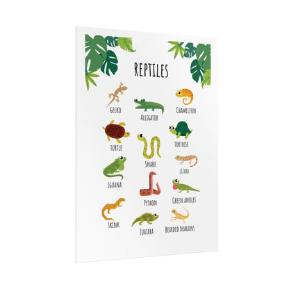 Reptiles Illustration Rolled Poster | Lizard Gecko Snake Turtle Tortoise Chart | Rolled Art That Celebrate Reptiles In Clean, Modern Layout