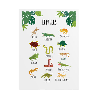 Reptiles Illustration Rolled Poster | Lizard Gecko Snake Turtle Tortoise Chart | Rolled Art That Celebrate Reptiles In Clean, Modern Layout