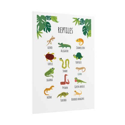 Reptiles Illustration Rolled Poster | Lizard Gecko Snake Turtle Tortoise Chart | Rolled Art That Celebrate Reptiles In Clean, Modern Layout
