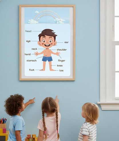 Labeled Body Parts Chart Rolled Posters | Kids Anatomy Poster | Bright, Classroom-Ready Rolled Posters