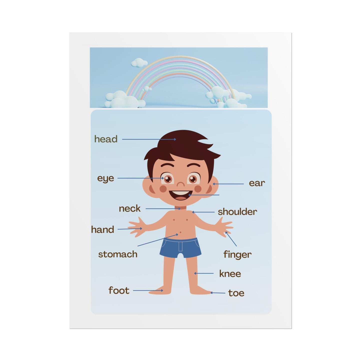 Labeled Body Parts Chart Rolled Posters | Kids Anatomy Poster | Bright, Classroom-Ready Rolled Posters