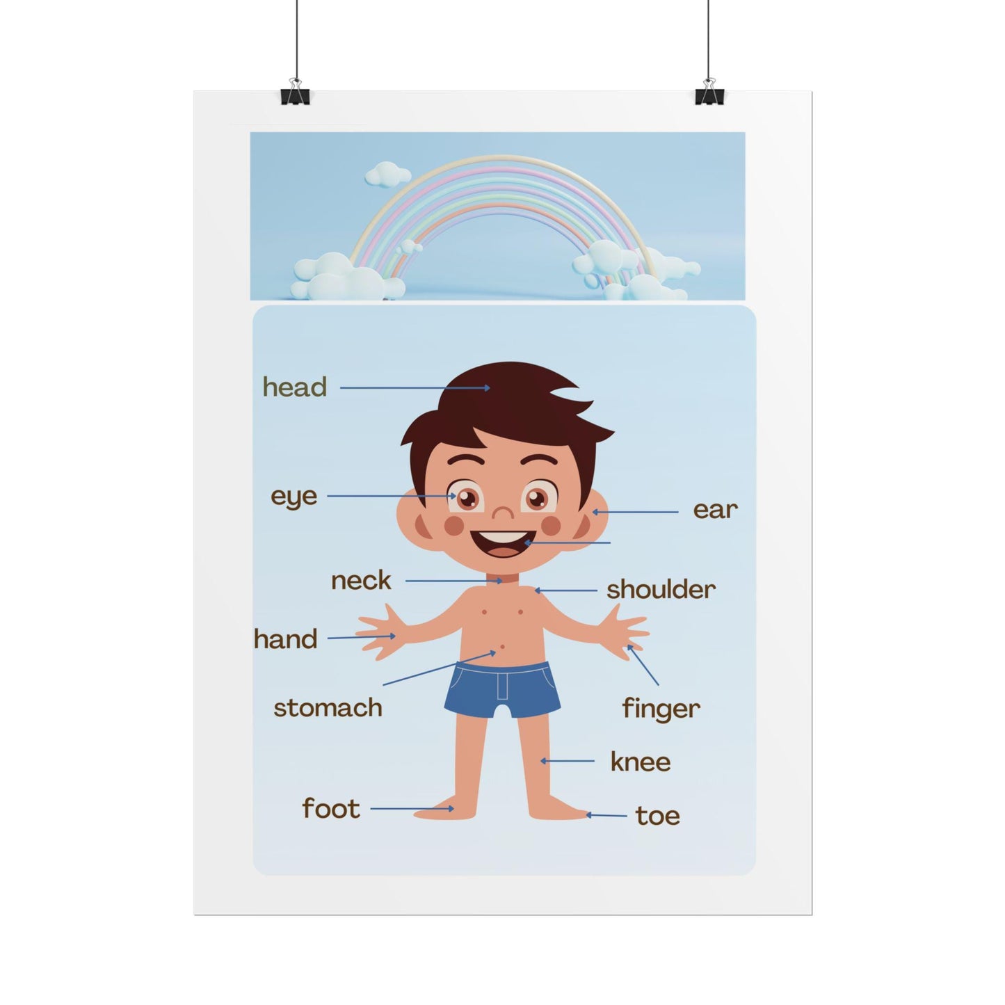 Labeled Body Parts Chart Rolled Posters | Kids Anatomy Poster | Bright, Classroom-Ready Rolled Posters